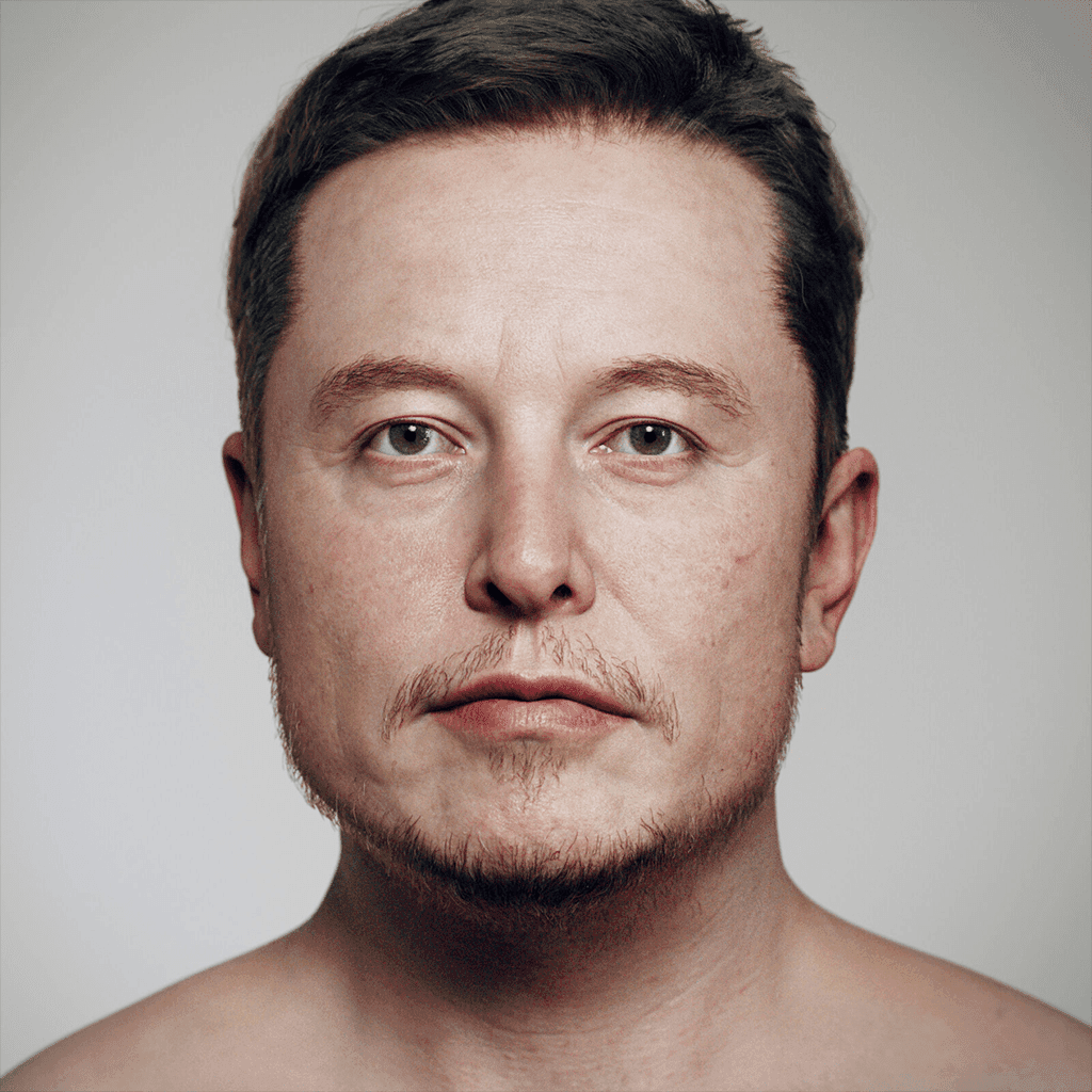 Elon Musk original portrait
